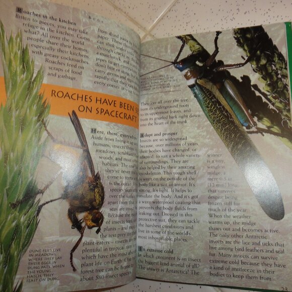 Vintage Secret Worlds Bugs A Close Up View of the Insect World Hardcover Book - Picture 15 of 16